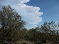 anobello-04032012 142